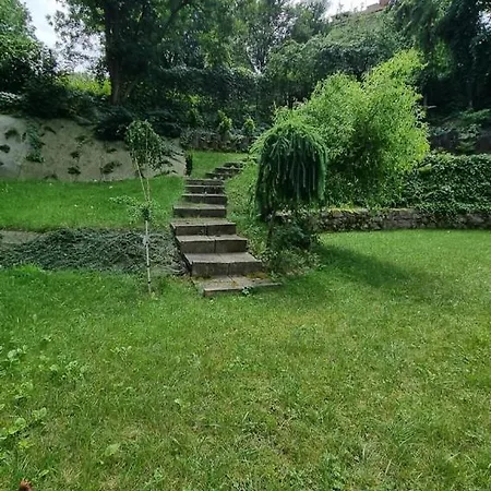 House With Garden Krolowej Jadwigi Street Daire *
