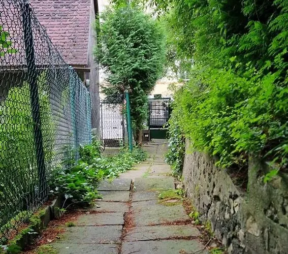 公寓 House With Garden Krolowej Jadwigi Street